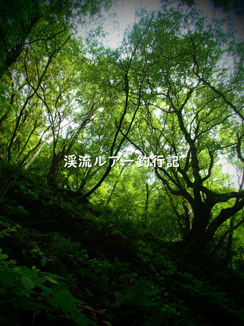 P9300028 (2).jpg