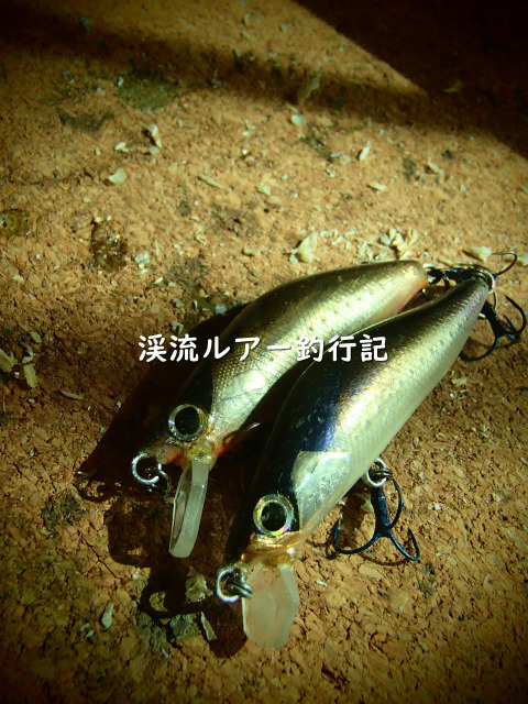 PA050007 (2).jpg