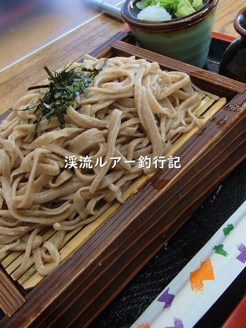 PA230010 (2).jpg