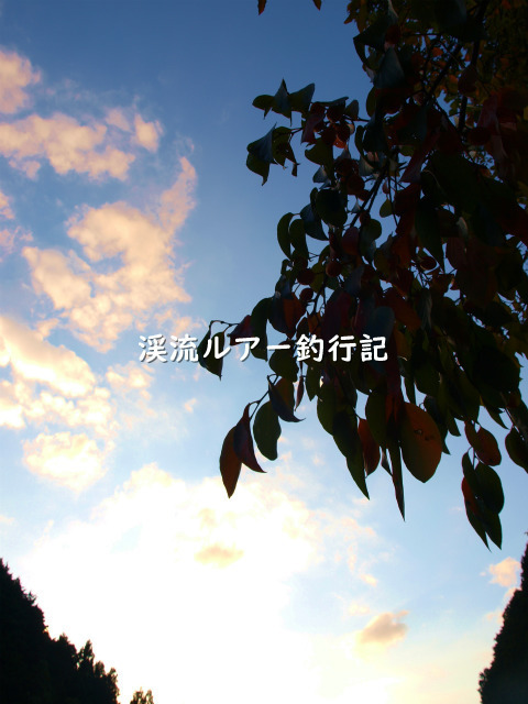 PA259390 (2).jpg