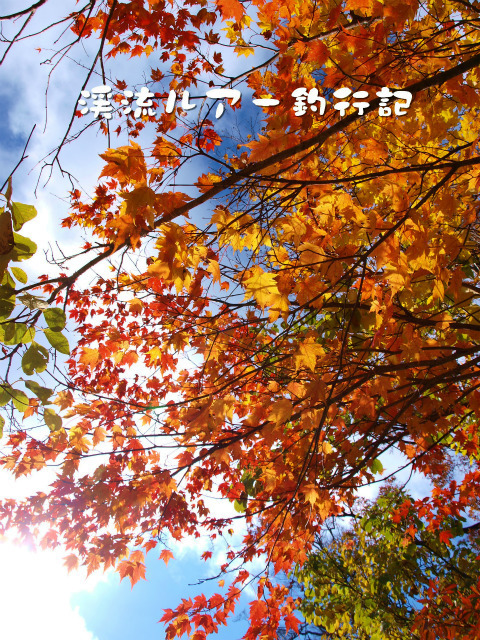 PA287628.jpg