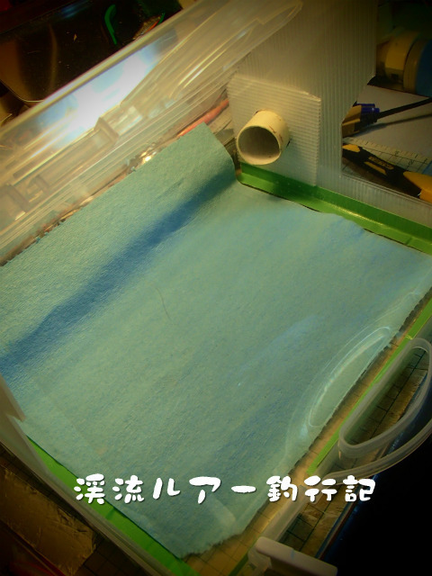 PA290008.jpg