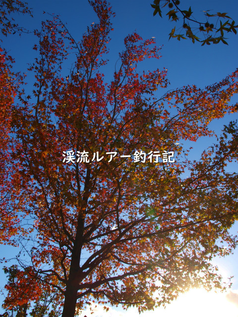 PA299394 (2).jpg