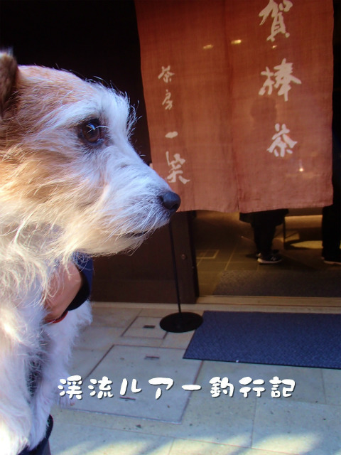 PB030023.jpg