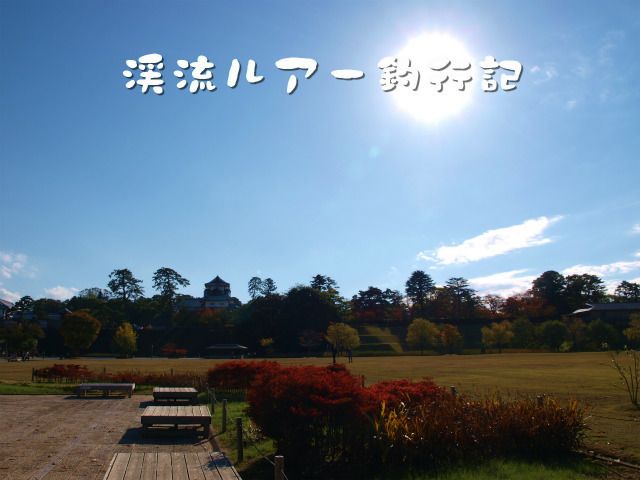 PB037663.jpg