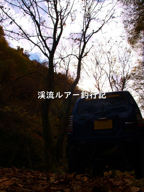 PB038788 (2).jpg