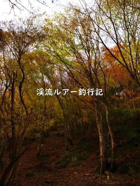 PB038789 (2).jpg