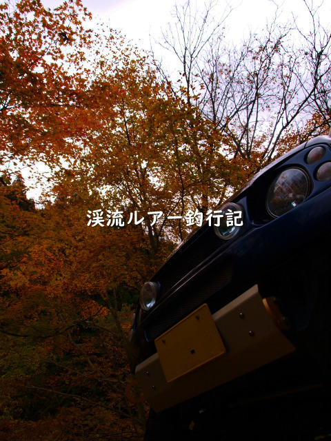 PB048528 (2).jpg