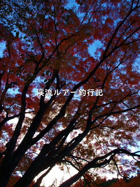 PB069130 (2).jpg