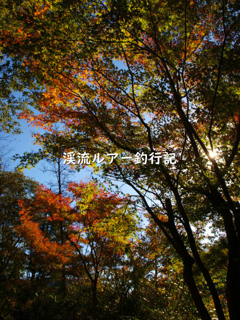 PB089420 (2).jpg