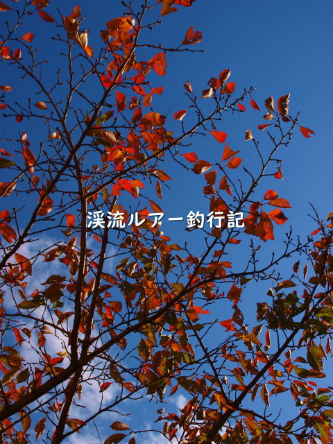 PB108824 (2).jpg