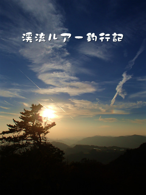 PB110007.jpg