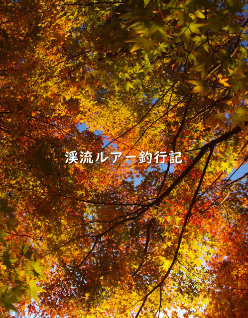 PB158569 (2).jpg