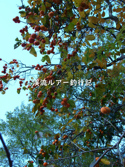 PB159442 (2).jpg