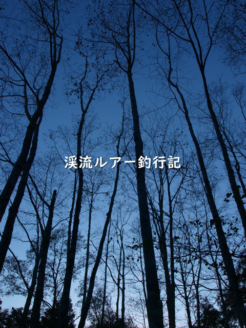 PB159444 (2).jpg