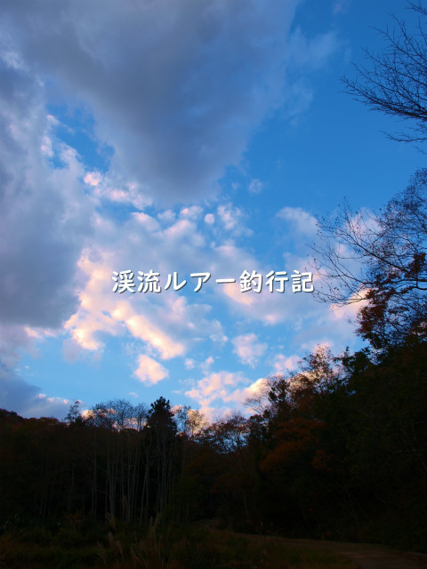PB169181 (2).jpg
