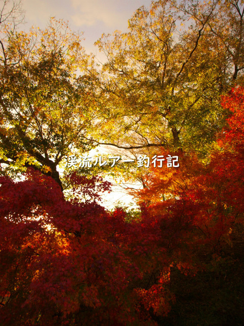 PB169192 (2).jpg