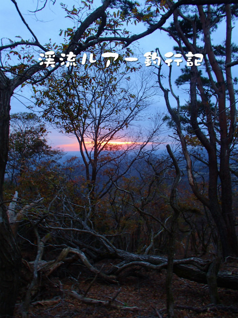 PB180024.jpg