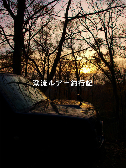 PB188576 (2).jpg