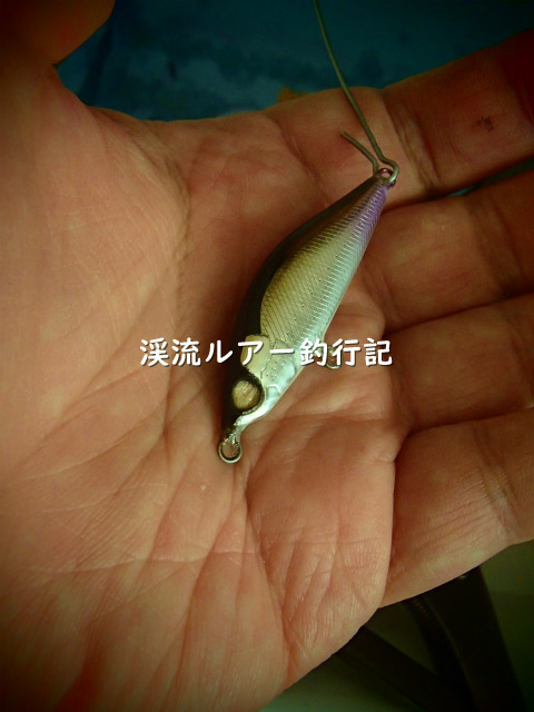 PB190006 (2).jpg