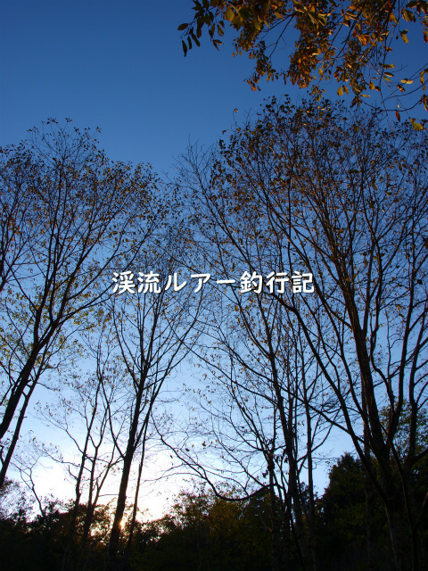 PB199449 (2).jpg