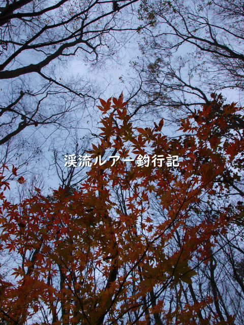 PB209203 (2).jpg