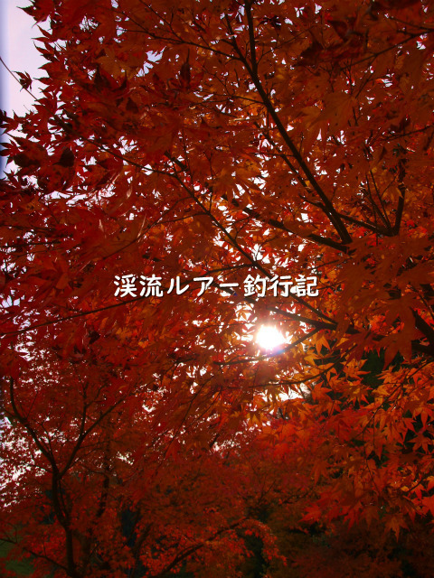 PB218848 (2).jpg