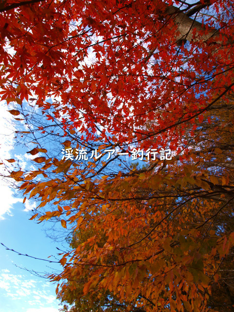 PB239480 (2).jpg