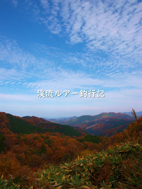 PB239494 (2).jpg