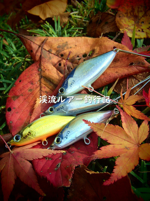 PB270001 (2).jpg