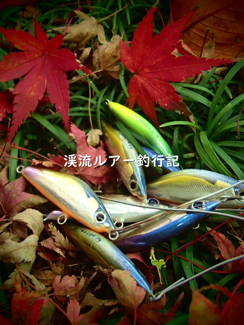 PB290002 (2).jpg