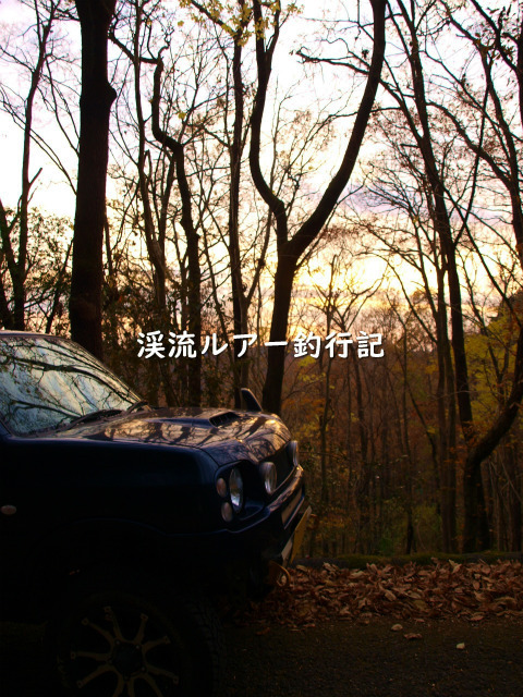 PB299511 (2).jpg