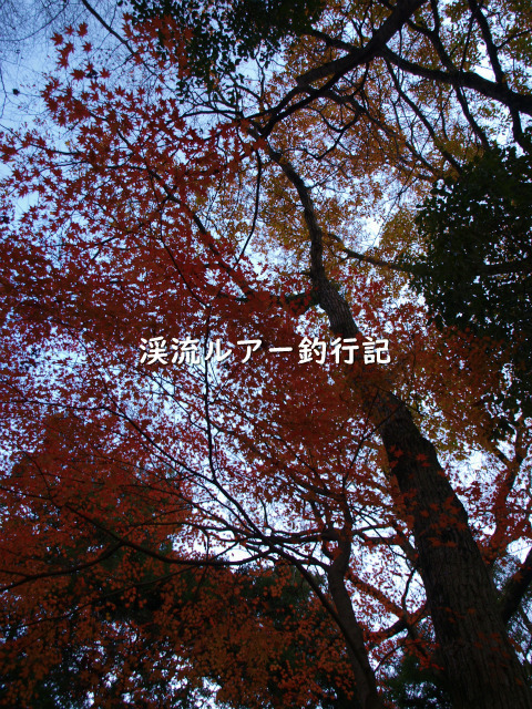 PC039533 (2).jpg