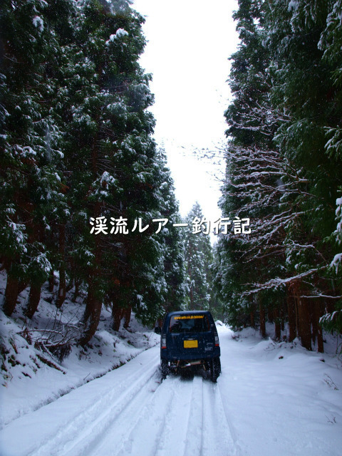 PC058878 (2).jpg