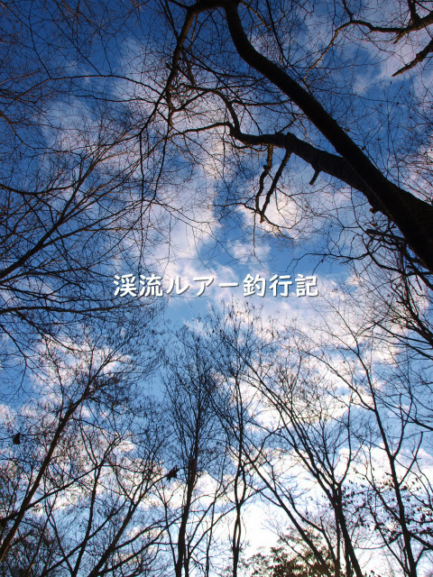 PC109547 (2).jpg