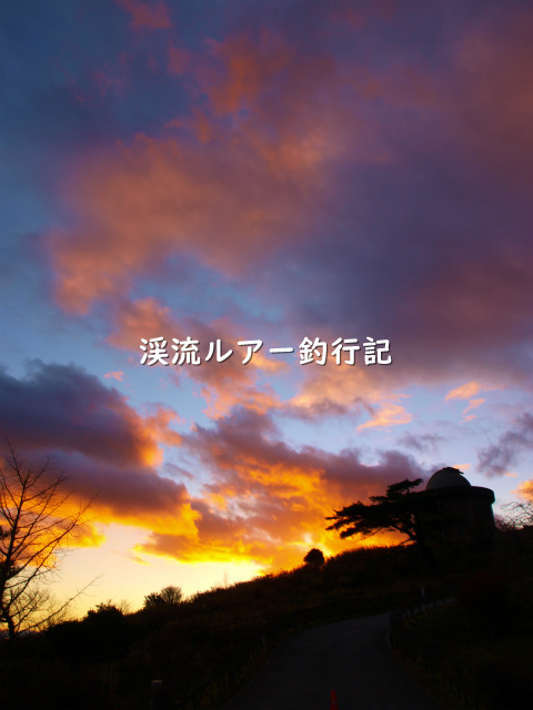 PC168663 (2).jpg