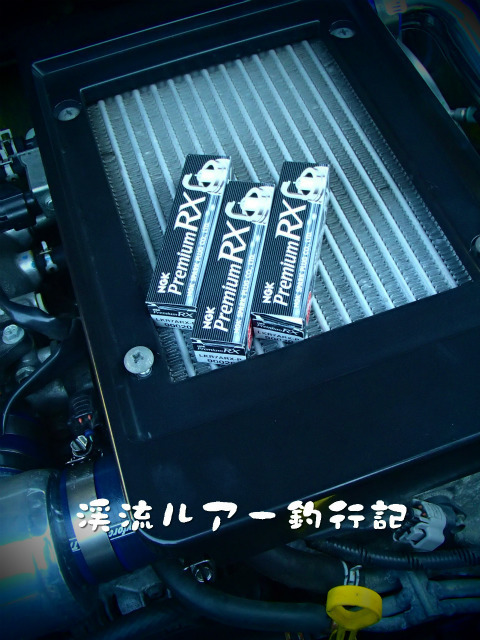 PC170012.jpg