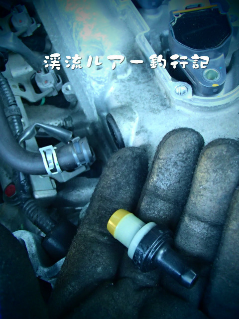 PC170014.jpg