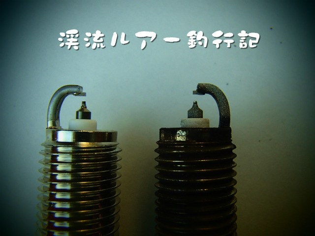 PC170015.jpg