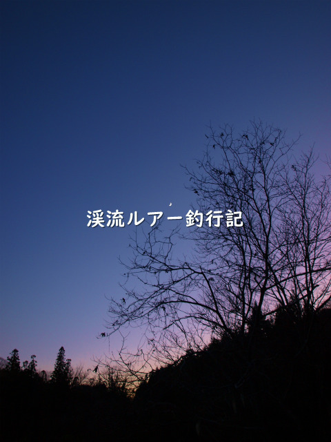 PC179560 (2).jpg