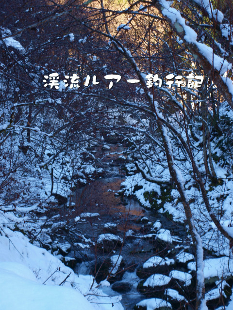 PC186020.jpg