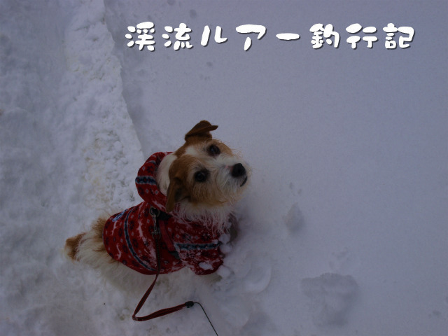 PC186928.jpg