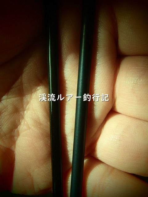 PC200016 (2).jpg