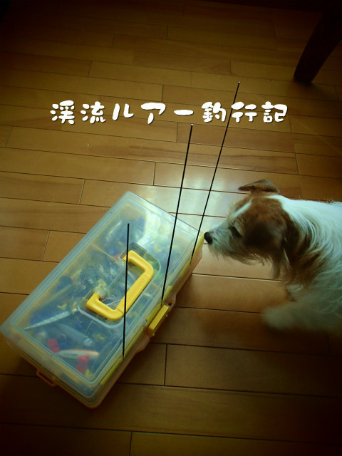 PC210009.jpg