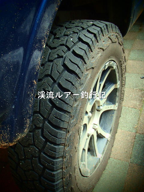 PC220013 (2).jpg