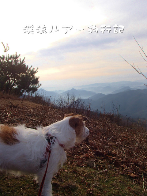 PC240016.jpg