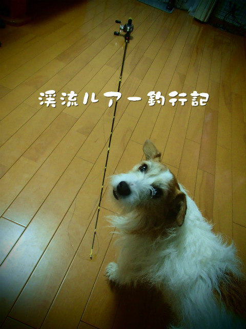 PC290016.jpg