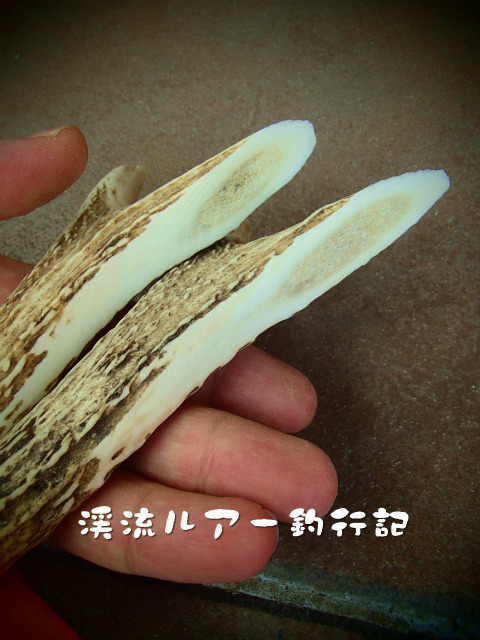 PC290064.jpg