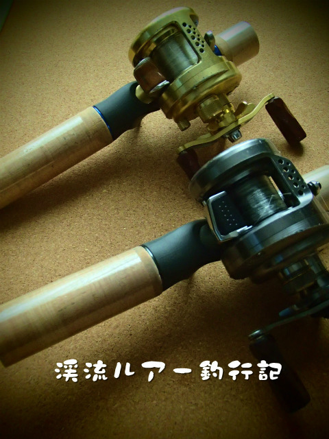 PC310005.jpg