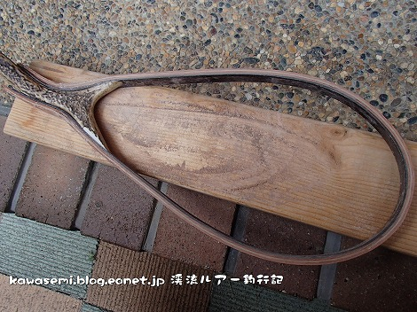 P1010022
